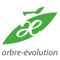 Arbre-Évolution Coop de Solidarité