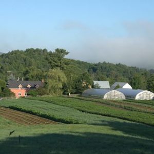 Le vallon des sources