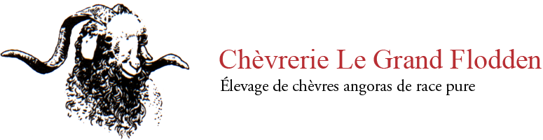 Logo - Chèvrerie le Grand Flodden