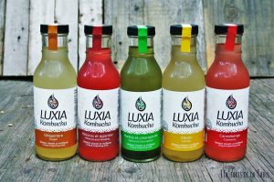 Luxia Kombucha