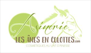 Asinerie Les ânes en culotte