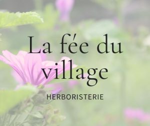 La fée du village