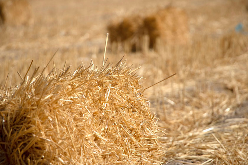 pourquoi-et-comment-construire-une-maison-avec-une-isolation-en-paille