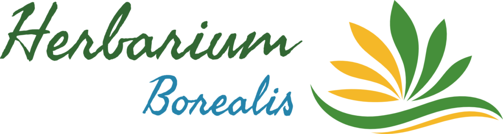 Logo - Herbarium Borealis Tisanerie S.e.n.c.