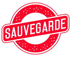 Sauvegarde