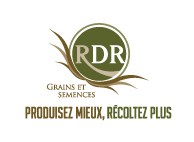 RDR Grains et Semences