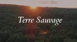 Terre Sauvage