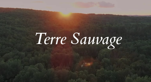 Logo - Terre Sauvage